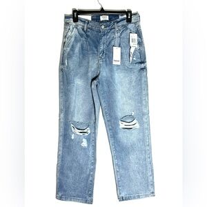 Kensi High Rise Pleated Waist Barrel Jeans